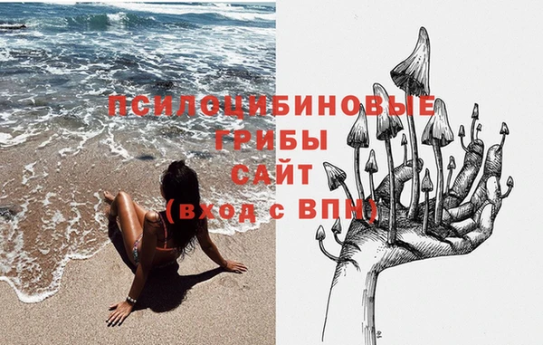 альфа пвп Алексеевка