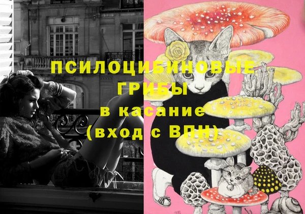 герыч Алексин