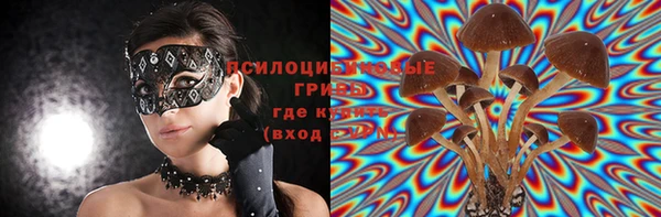 не бодяженный Алзамай